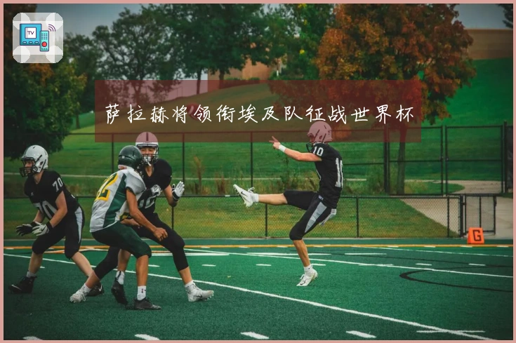 萨拉赫将领衔埃及队征战世界杯