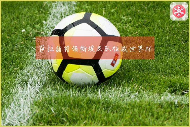 萨拉赫将领衔埃及队征战世界杯